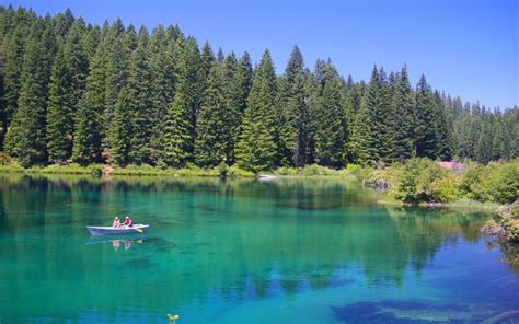 America's Most Beautiful Lake Has a Sunken Forest Beneath Its Crystal ...