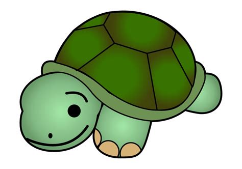 cute turtle clipart 20 free Cliparts | Download images on Clipground 2024