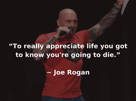 49 Joe Rogan Quotes To Fuel Your Hunger For Success