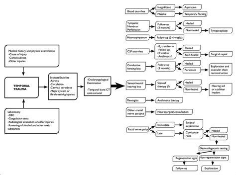 The algorithm format of temporal bone fracture management. | Download Scientific Diagram