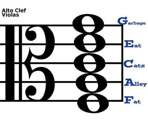 clef- all it seems to be good for is the wooly region of the viola and missed notes on the ...