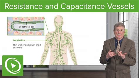 Resistance and Capacitance Vessels - YouTube