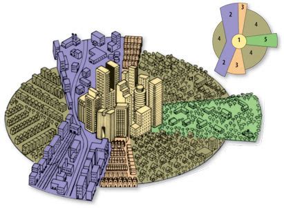 Hoyt Model Diagram | Quizlet