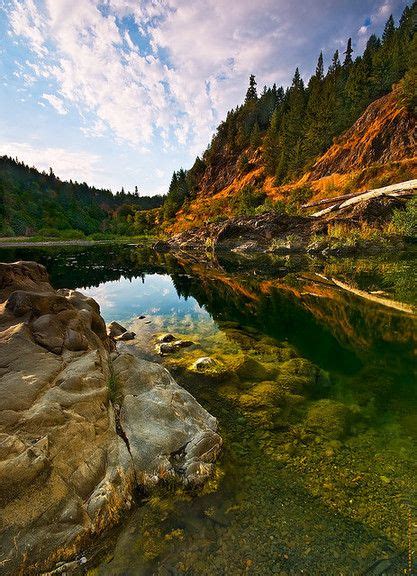 Eel River, Smithe Redwood Forest, California | Humboldt redwoods state park, Places to go ...