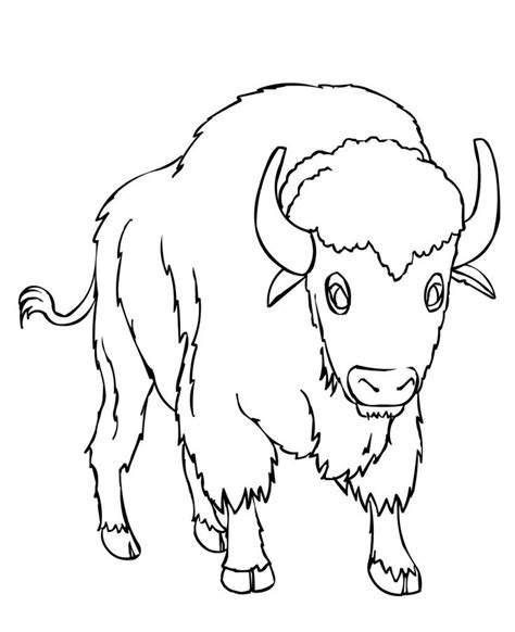 Free Printable Bison Coloring Pages For Kids | Toddler coloring book, Animal coloring pages ...