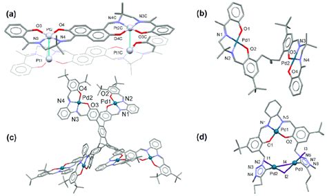 (a) Platinum(II) complex based on fused N2O2 Schiff base ligand and... | Download Scientific Diagram