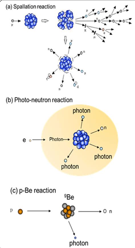 Neutron Diagram