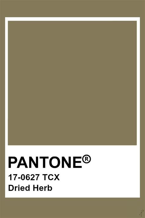 Pin by Ivan M on Color pallette | Pantone colour palettes, Pantone ...