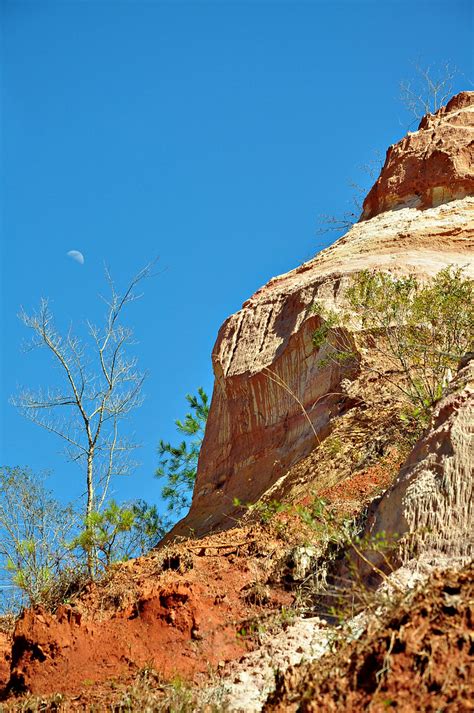 Providence Canyon 5 | Providence Canyon State Park is a 1,00… | Flickr