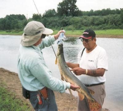 Big Muddy River Fishing - IL Fish Finder