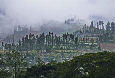 Dieng Plateau - Tours and Travel - Java and Indonesia