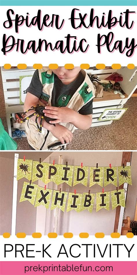 Spider Exhibit Mini Dramatic Play Set | Dramatic play preschool, Dramatic play, Spider theme ...