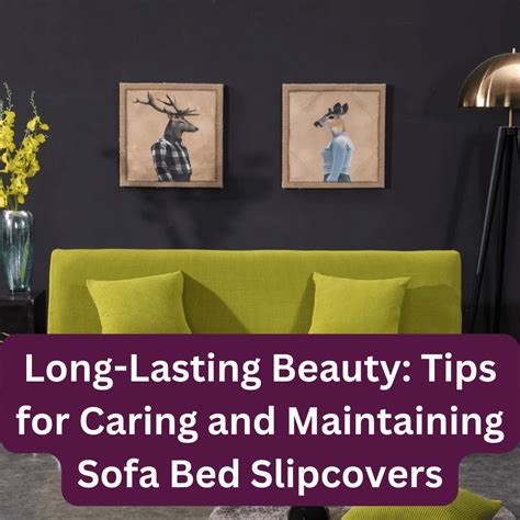 Long-Lasting Beauty: Tips for Caring and Maintaining Sofa Bed Slipcovers – Shiny Sofas