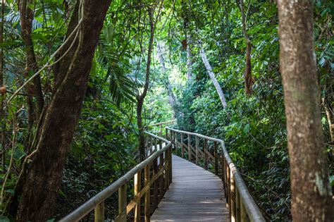 Día 10 – Parque Nacional Manuel Antonio - Descubriendo Japón