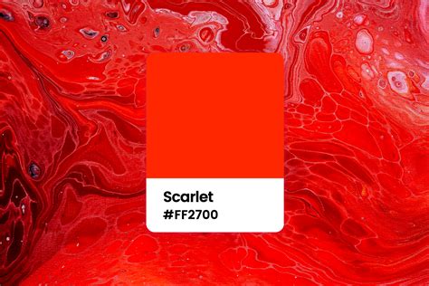 All You Want to Know About Scarlet Color: Meaning, Combinations and Palettes | Fotor