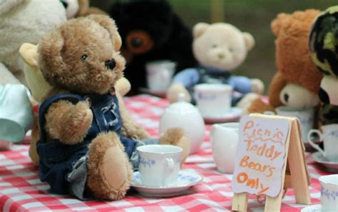 How to Host a Teddy Bear Picnic - Hobbies on a Budget