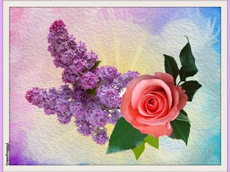 Jigsaw Puzzle | PUZZLE - Lilacs And Rose | 80 pieces | Jigidi