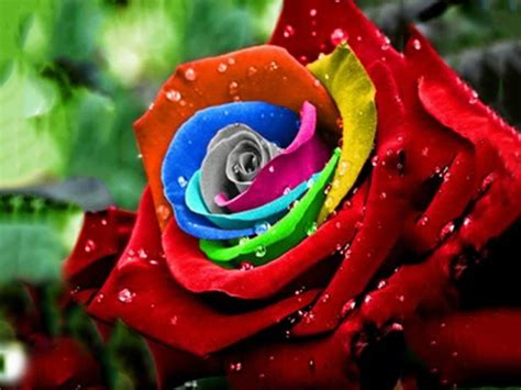 Beautiful Rainbow Wallpaper (49+ images)