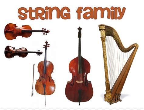 Family String Instruments Musical Instruments Orchestra Violin, PNG, 1502x1151px, Family, Bass ...