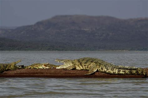 Rift Valley Lakes | Ethio Target Tours and Travel - Holiday tours in Ethiopia | Best tour ...