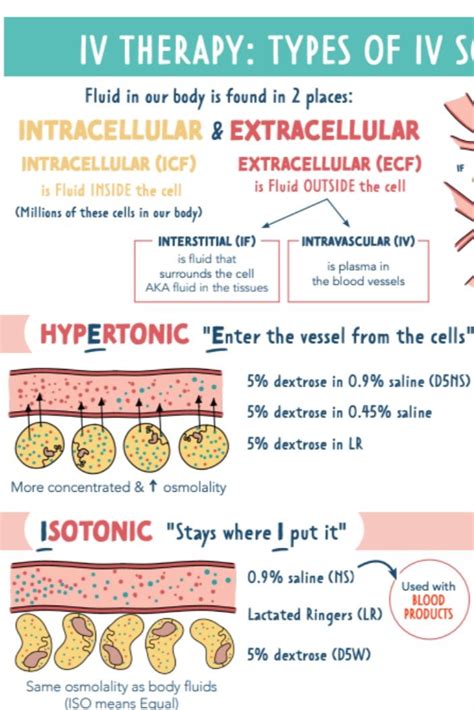 Intravenous Therapy Cheat Sheet 3 Pages 2023 Edition - Etsy | Nursing ...