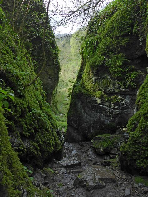 Photographs of Ebbor Gorge, Somerset, England: Enclosed streambed