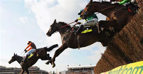 Cheltenham Festival - Tips, results and latest news - The Mirror