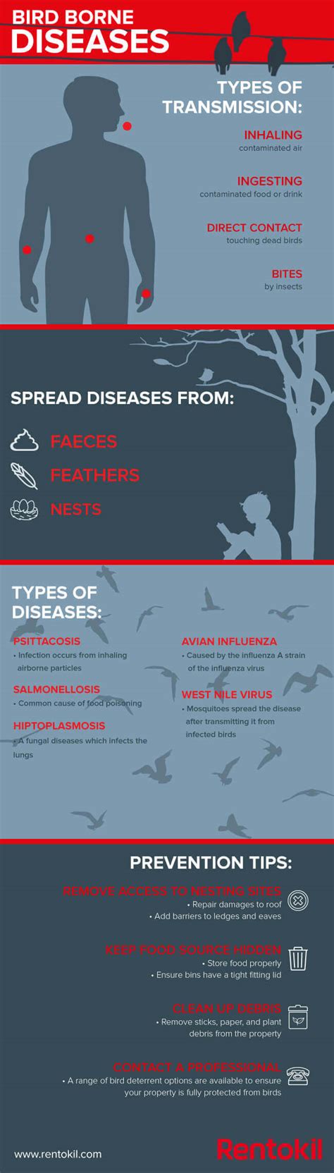 Bird diseases | Rentokil pest Control India