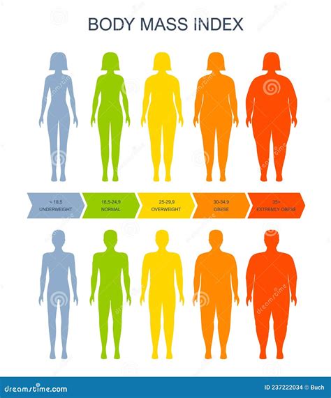 Body Mass Index Chart, BMI of Man and Woman Scale Stock Vector - Illustration of female, obesity ...