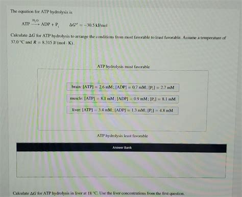 Solved The equation for ATP hydrolysis is HO ATP ADP + P | Chegg.com