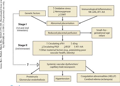 Figure 1 from Pathogenesis of preeclampsia. | Semantic Scholar