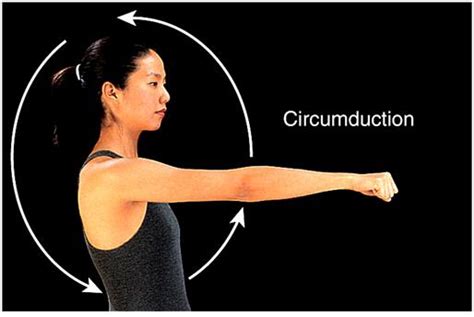 Physical Therapy Exercises: circumduction Exercise