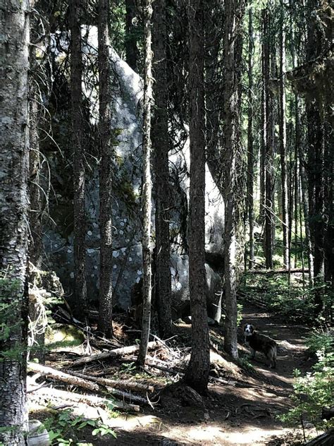 Canyon Lake Trail - Montana | AllTrails