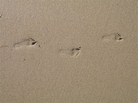 Child's footprints in the sand | Flickr - Photo Sharing!