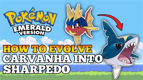 How To Evolve Carvanha Into Sharpedo In Pokemon Emerald | Hoenn Region ...