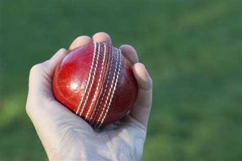 Free image of cricket ball