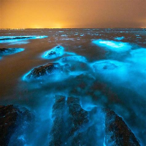 BBC News on Instagram: “Bioluminescent algae in Jervis Bay, Australia was captured on camera by ...