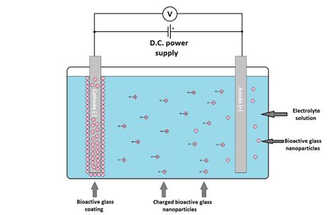 Schematic representation of an electrophoretic deposition process. | Download Scientific Diagram