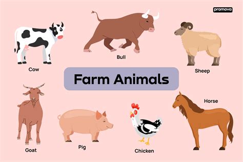 List Of Farm Animals And Their Names