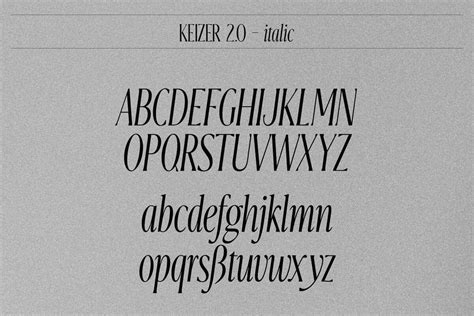Professional Fonts for Designers by Local Desk Design