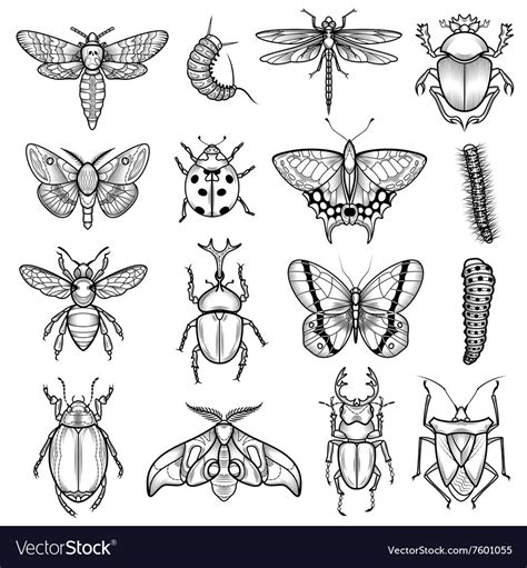 Insects black white line icons set Royalty Free Vector Image