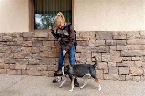 Valley group seeks to keep pets with families as local shelters hit capacity | Daily Independent