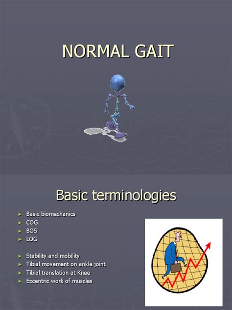 6. Gait Biomechanics.ppt | Foot | Anatomical Terms Of Motion