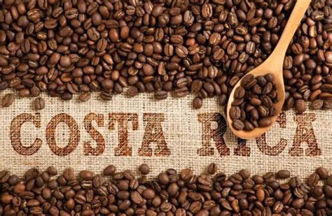 Coffee is declare as a National Symbol of Costa Rica.