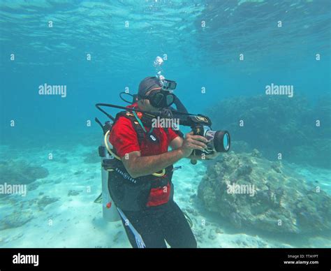 SCUBA diving and Underwater marine life, Lakshadweep, India Stock Photo ...