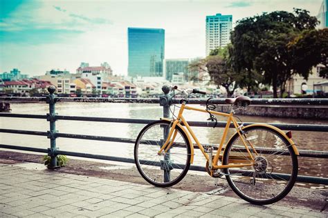 Top 11 Routes for Cycling in Pulau Ubin a for Thrilling Experience