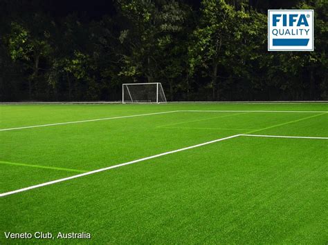 Artificial grass for football field in Australia | Football, Fifa ...