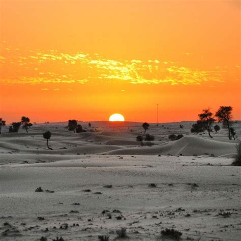 Sunset in Dubai desert | Por do sol, Sol nascente