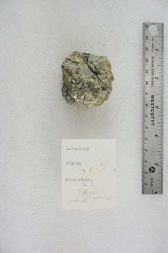 Pyrite | Revelstoke British Columbia, Canada S-74-1668 | Pacific Museum of Earth | Flickr