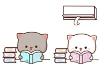 Cat Studying Gif